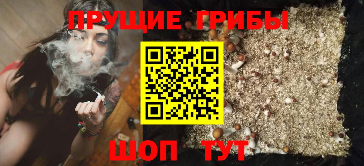 Нальчик  Галлюциногенные грибы мицелий  Вход с VPN 